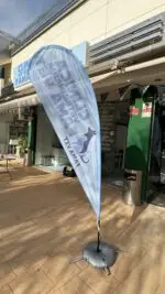 Bandera display - Imagen 2
